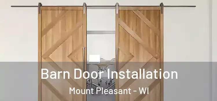 Barn Door Installation Mount Pleasant - WI