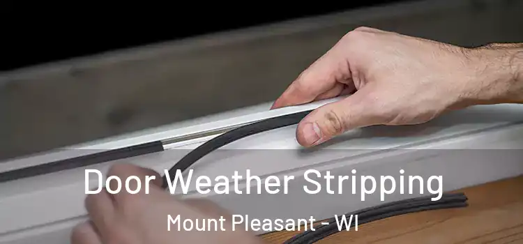 Door Weather Stripping Mount Pleasant - WI
