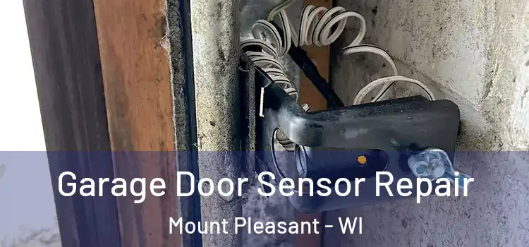 Garage Door Sensor Repair Mount Pleasant - WI