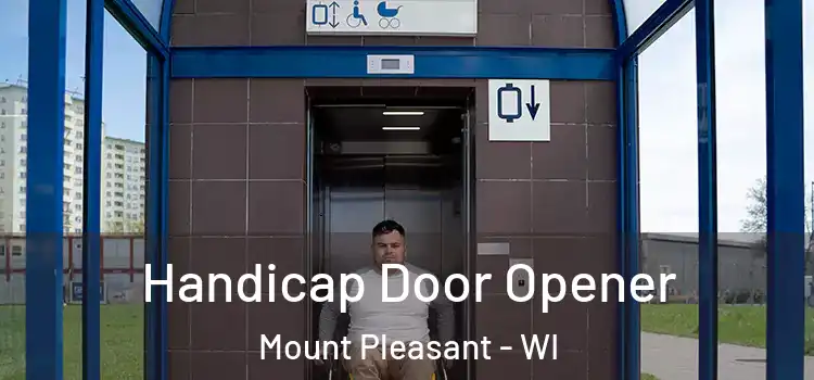 Handicap Door Opener Mount Pleasant - WI