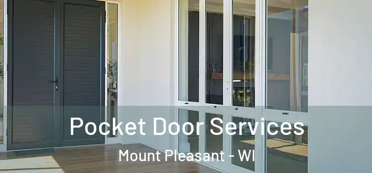 Pocket Door Services Mount Pleasant - WI
