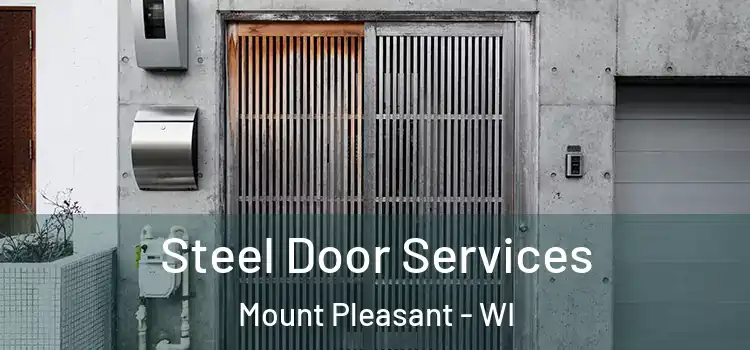 Steel Door Services Mount Pleasant - WI